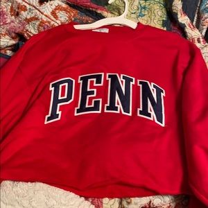 Cropped Champion Penn Hoodie